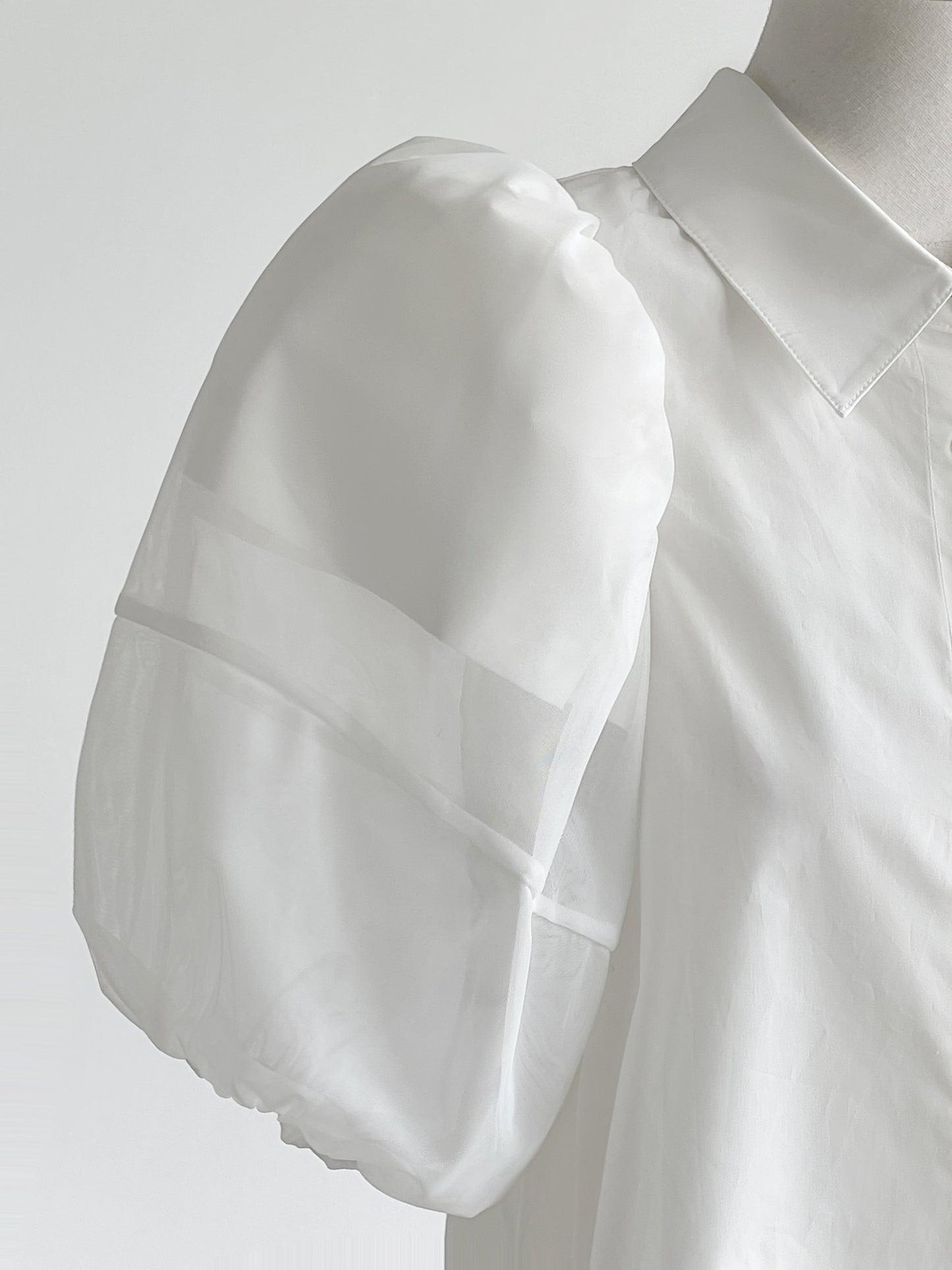 Mesh Puff Sleeve Shirt