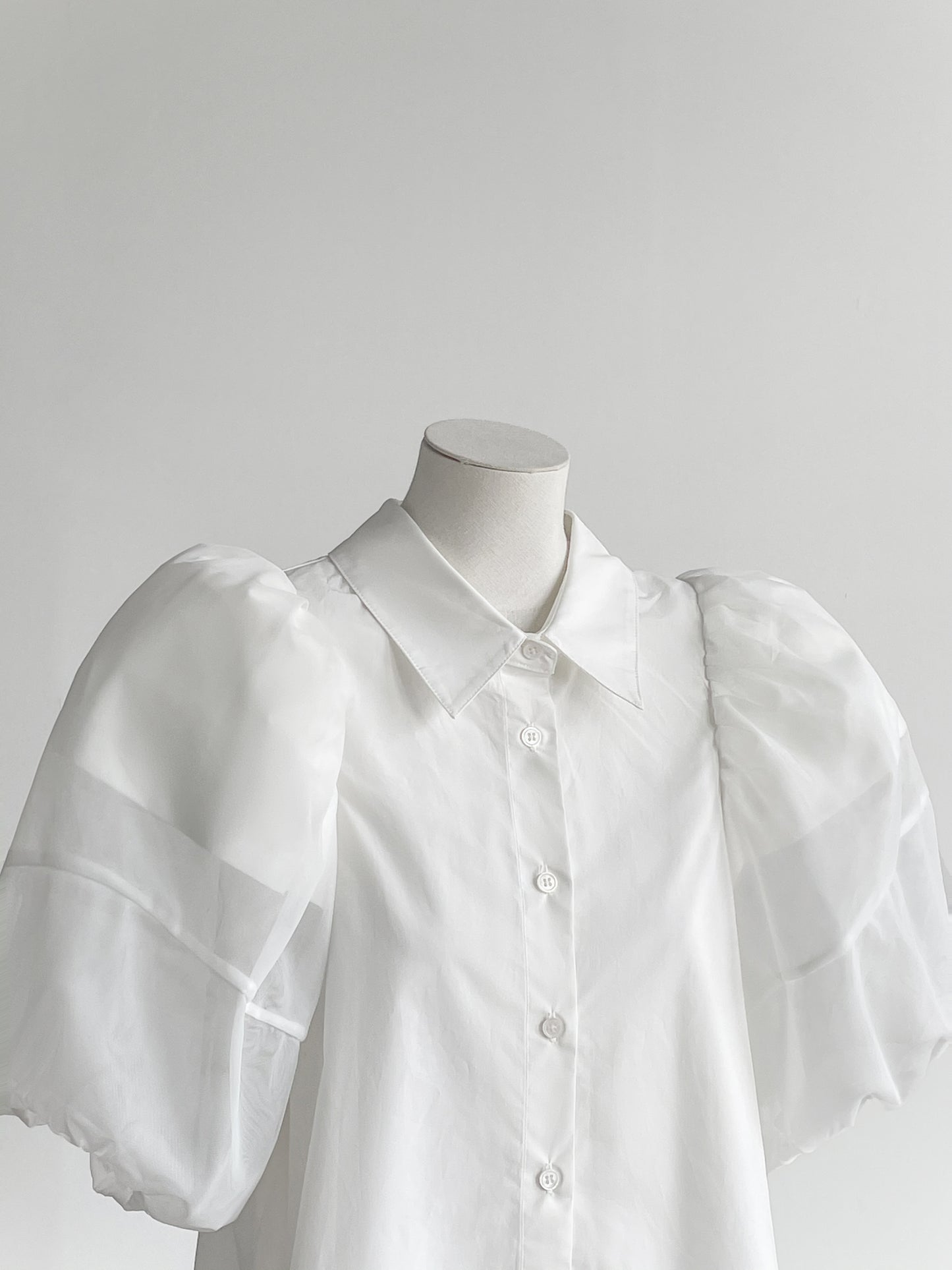 Mesh Puff Sleeve Shirt